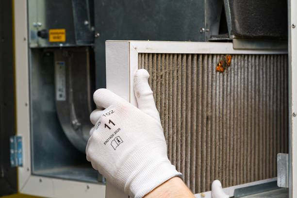 Best Dryer Vent Cleaning Services  in Captain Cook, HI